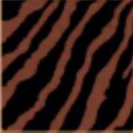 LIGIA TOP TIGER - Image 5