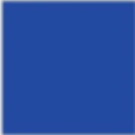 LUISA SWIMSUIT COBALT BLUE - Image 4