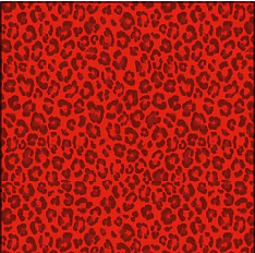 PRINTED MONICA SET LEOPARD RED - Image 7